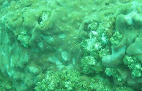 ca2-6711-1467424342-1738501