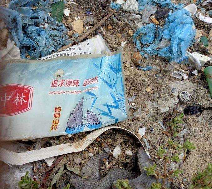 13695961_860752567394130_474965920_n