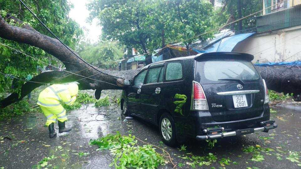 13782146_276184699412391_8785486031192405738_n