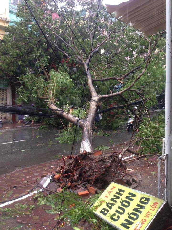 13874956_940966386025645_