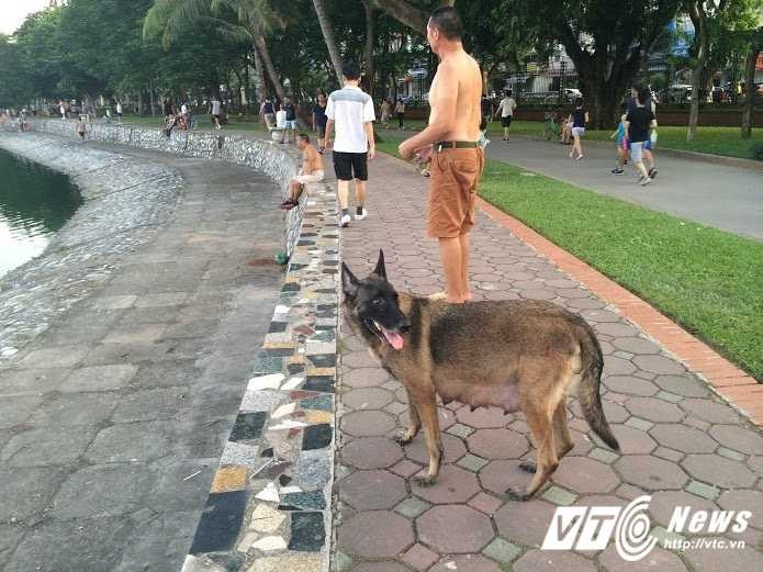 cho-tha-rong-cong-vien-1-1215