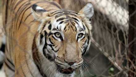 5136-1467516106-1474642297