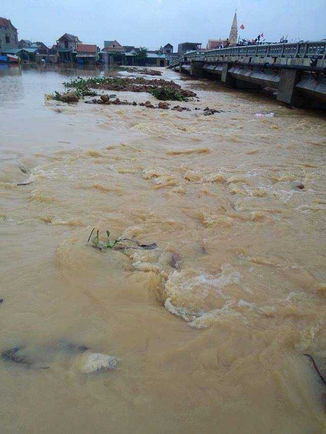 14793827_1146404348782951_465079150_n