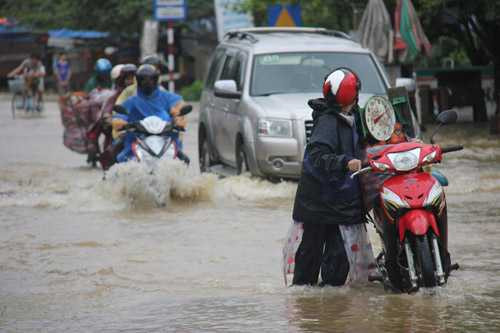 148065211128065-mua-lu-1