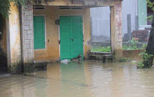 148065211174088-mua-lu-4