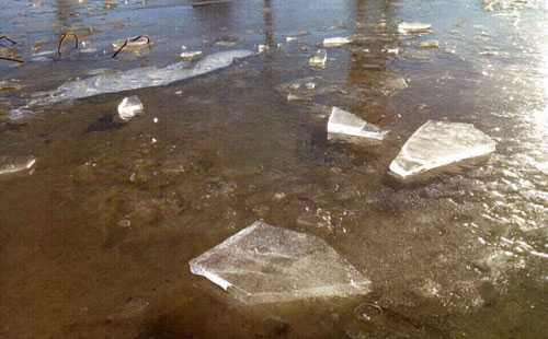 bang2-6198-1483870165-1130