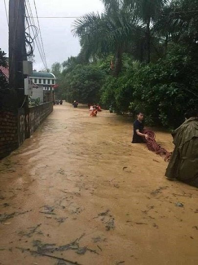 22472579_1598937253503108_477355669_n 8