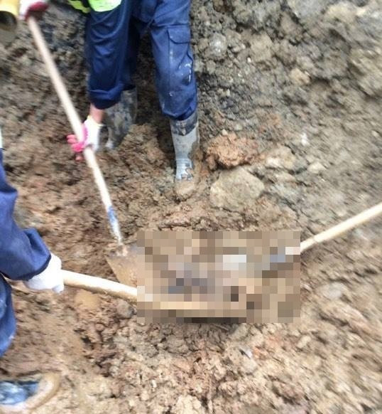 sat-lo-hoa-binh-1012035