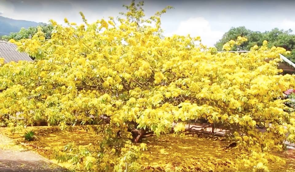 28308859_2038657593014403_1979567490_n 18