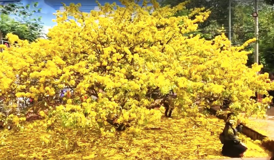 28308997_2038657606347735_1108106688_n 16