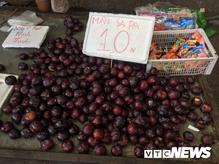 67669720_348167886102252_2256774571224989696_n-1402296 6