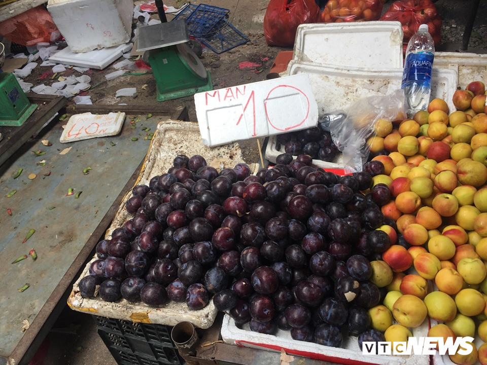 67794852_691870707926470_8690338759738130432_n 5