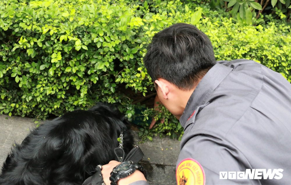 3b312d64596abb34e27b