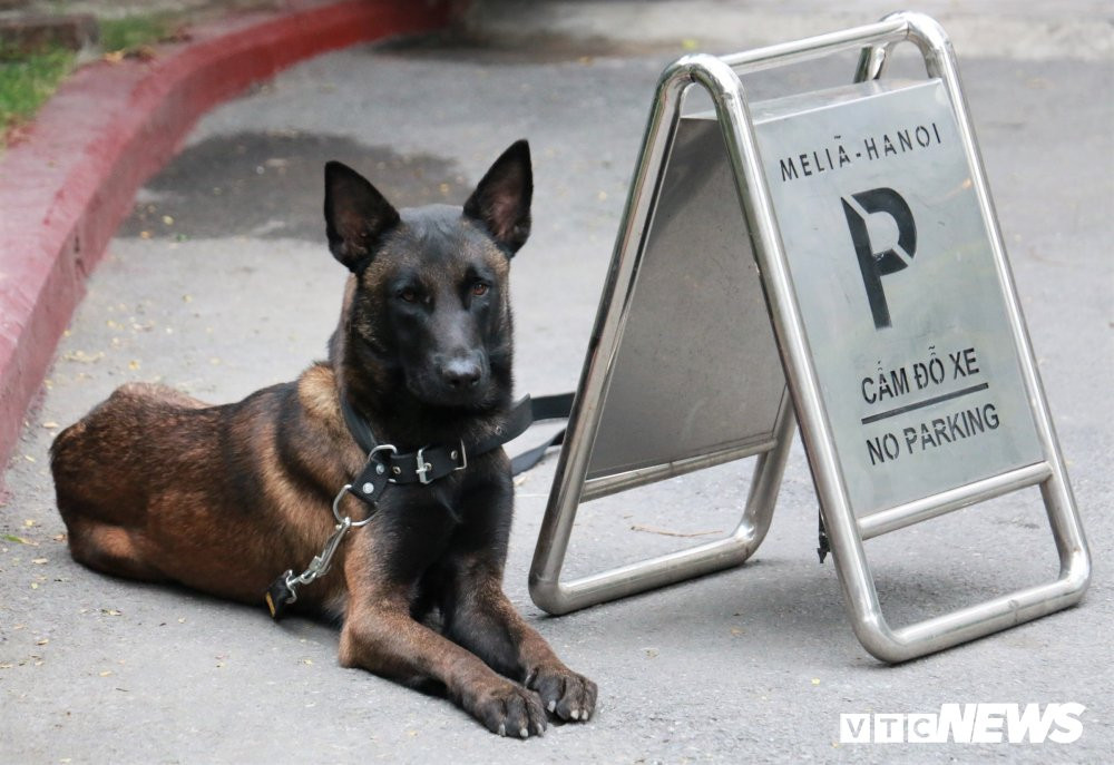 bf62167d6273802dd962 7