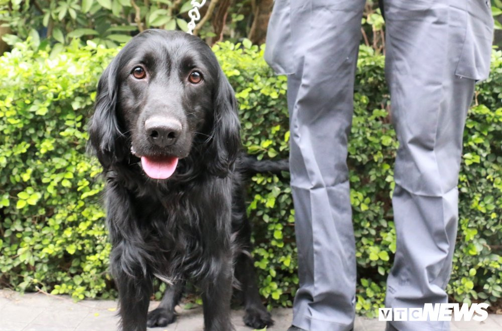 d630486c3c62de3c8773 9