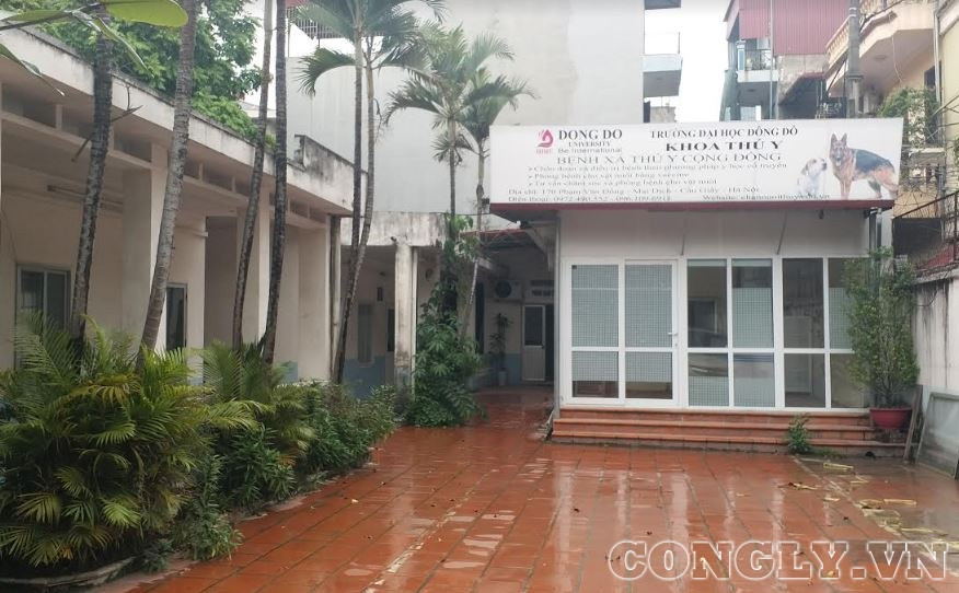 nhieu-khuat-tat-tai-truong-dai-hoc-dong-do-duoc-cap-nhieu-diem-truong-trong-long-thu-do-hinh-anh3