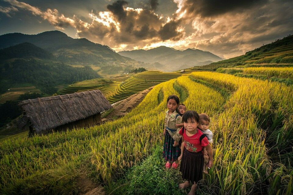 mu cang chai 10 9