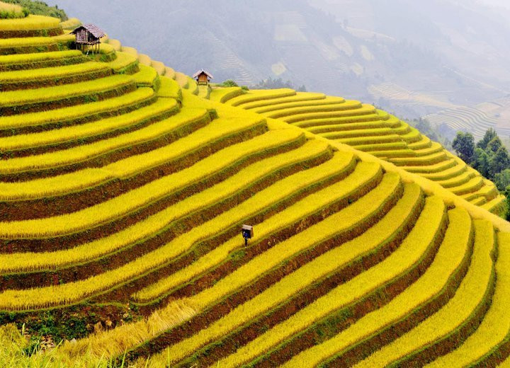 mu cang chai 5 4