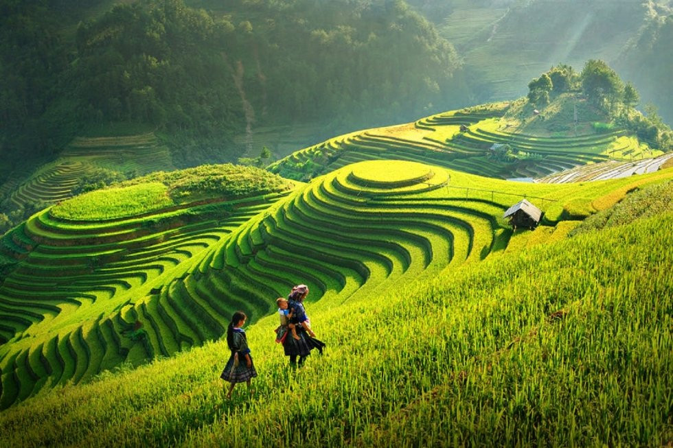 mu cang chai 6 6