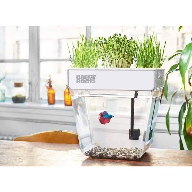 be ca tu lam sach 14