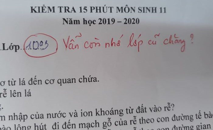 loi-phe-cua-co-giao-nhan-bao-like