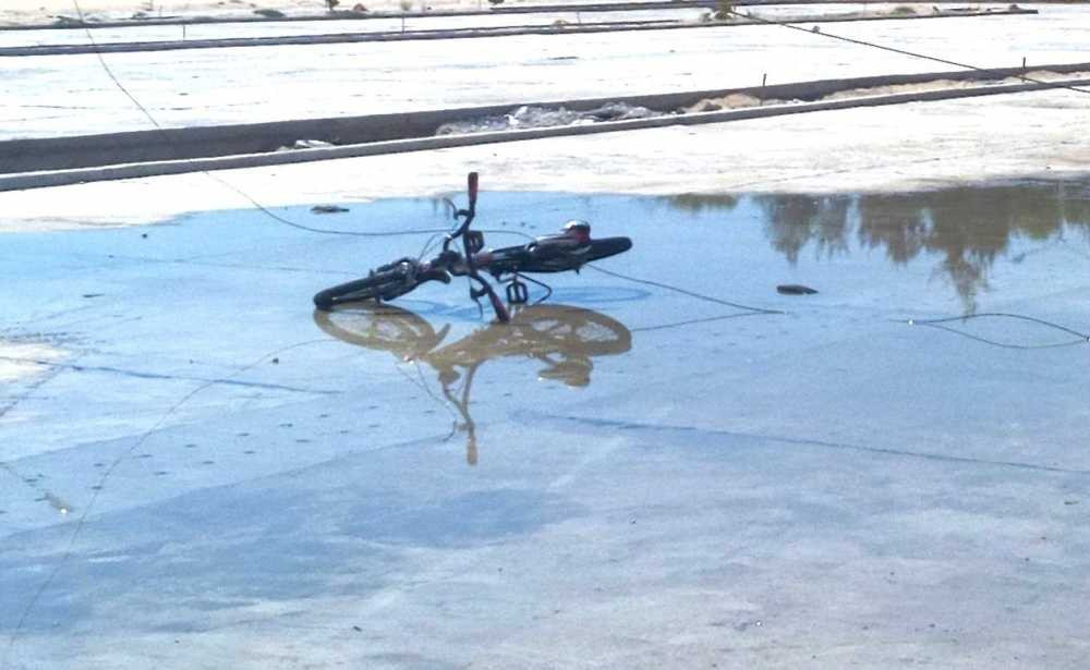 13340392_870085876468275_1085793163_o