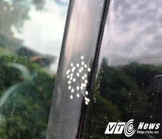 134353626190523349303803480485326689660858n-1465869517