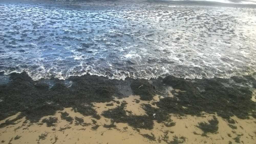 anh 1 (FILEminimizer)