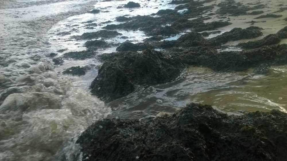 anh 2 (FILEminimizer)