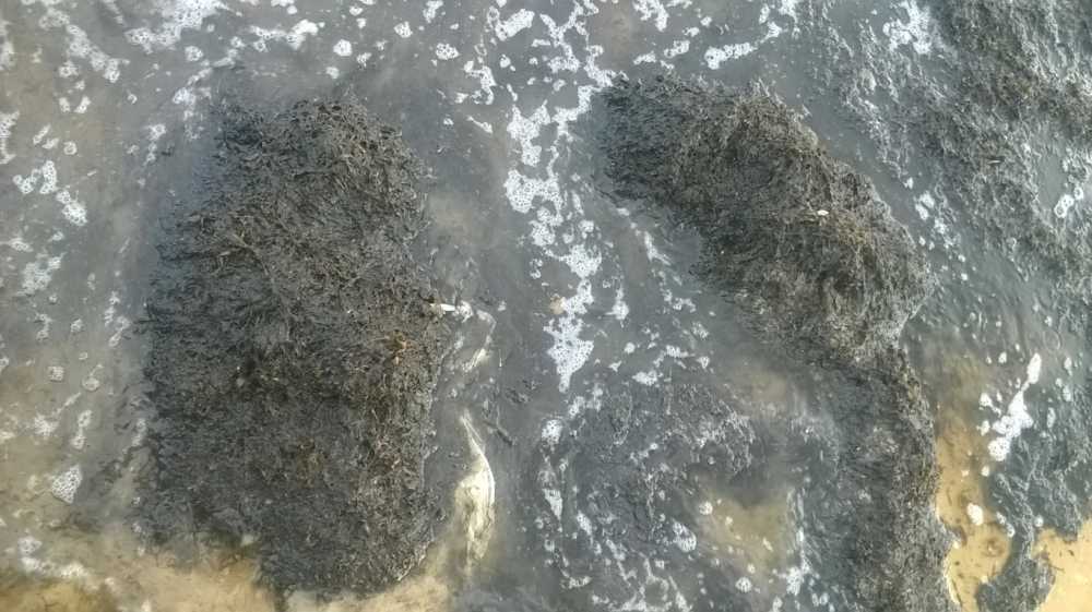 WP_20160706_032 (FILEminimizer) (1)