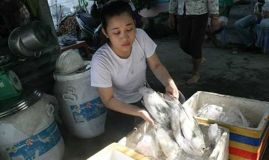 13689663_611046055721354_319038080_n