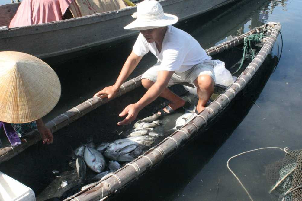 13699353_611046775721282_1617969094_o