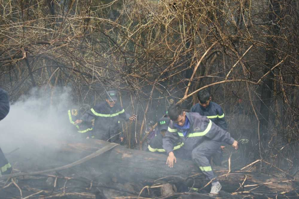 14044979_917192668424262_1719546027_o