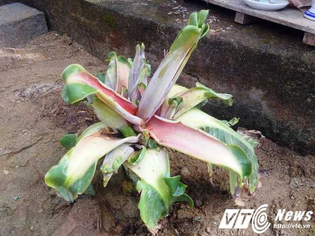 14053682_914236088686188_667777627029787585_o-1311