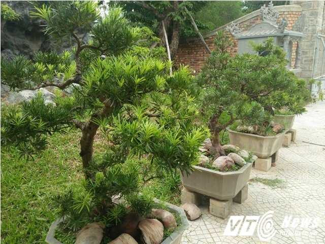 14218092_1098792330210820_20217576_n