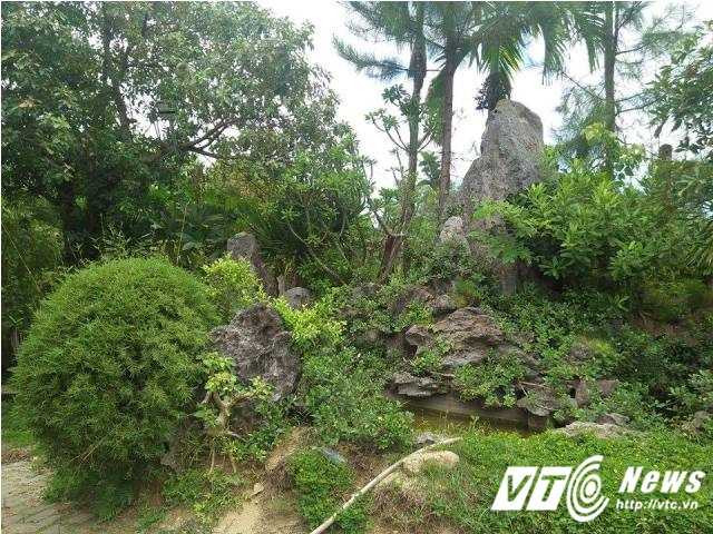 14256236_1098792446877475_1518875773_n