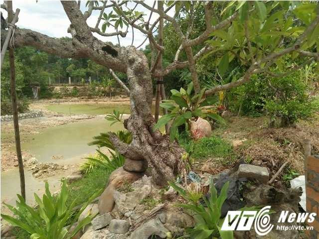 14256718_1098792483544138_1828747357_n