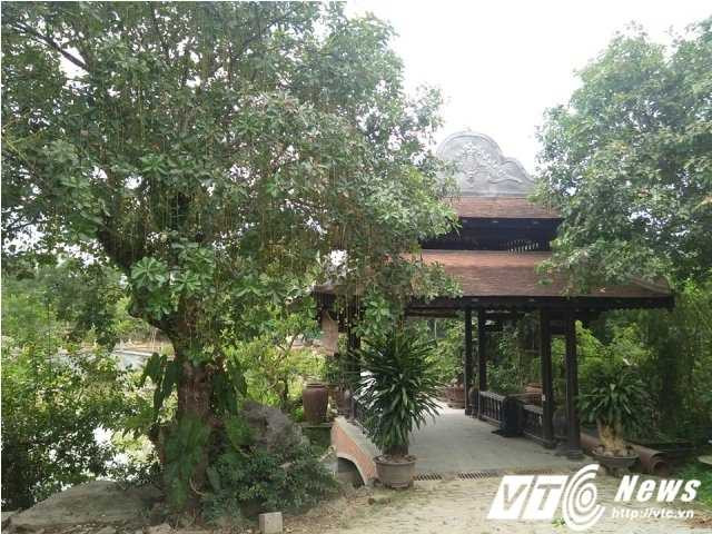 14256757_1098792453544141_1625542300_n