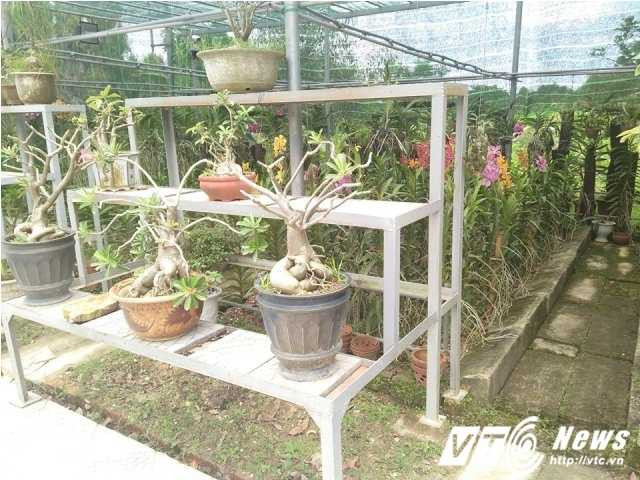 14287548_1098792413544145_1069973074_n