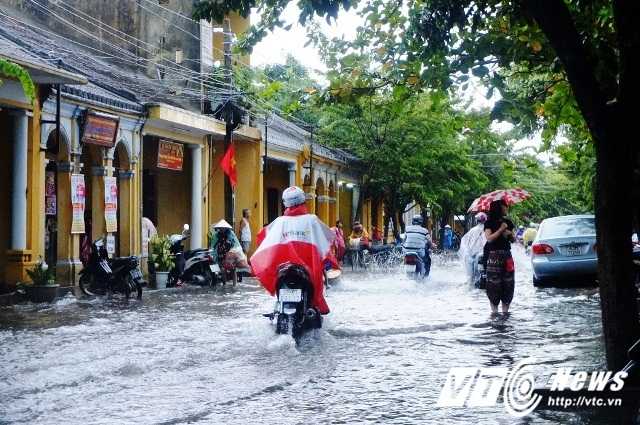 bao hoi an 1