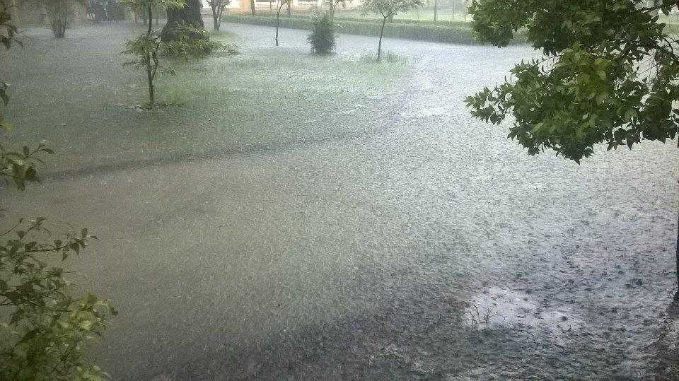 14445890_221792444903468_1495645365_n