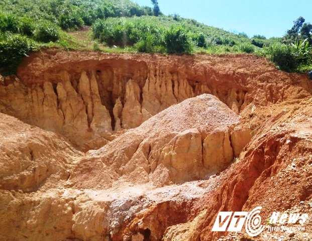 14508628_1117771441646242_1145703758_n