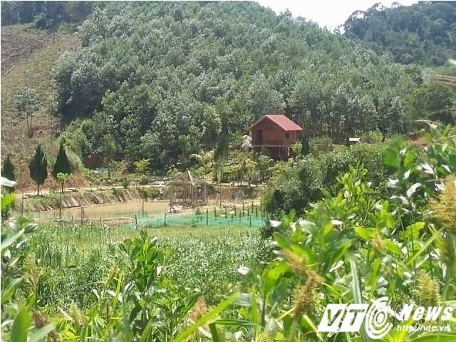 14508565_1118866954870024_1702776552_n