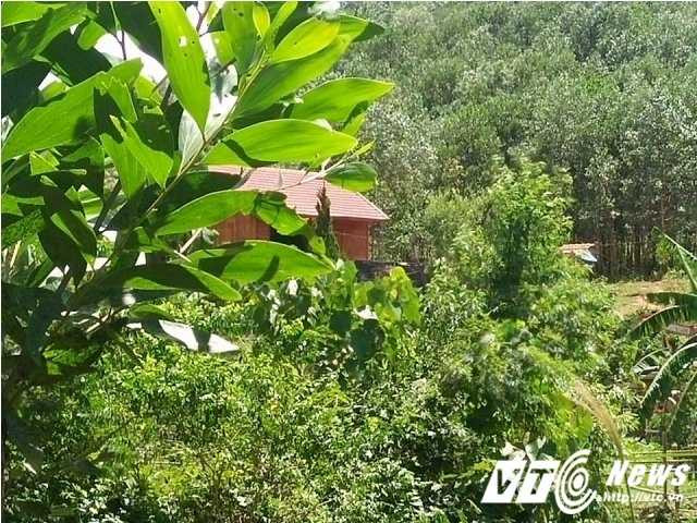 14527633_1118866274870092_2118354798_n