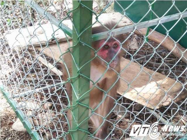 14528358_1118865884870131_1800835852_n