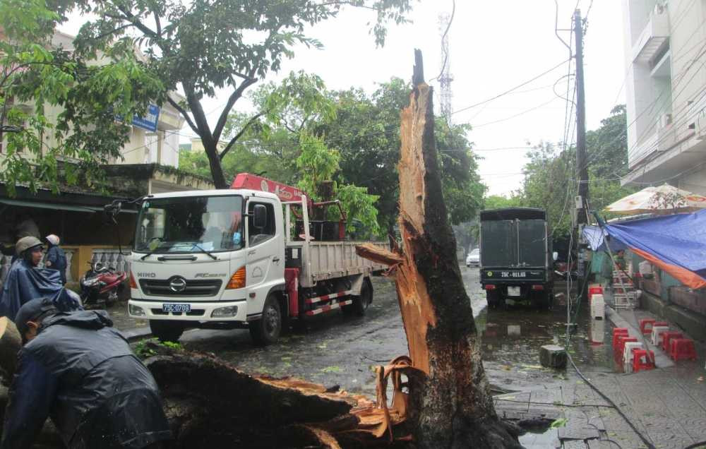 14632676_1037724116336997_579862576_o