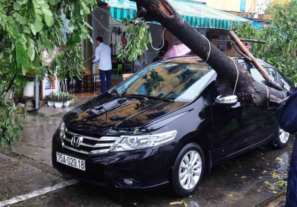 14724145_745398932264953_1890778070_o