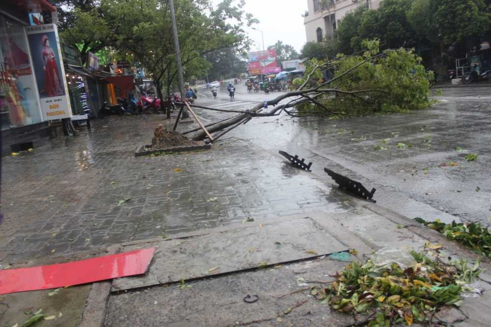 IMG_8740 (FILEminimizer) - Copy