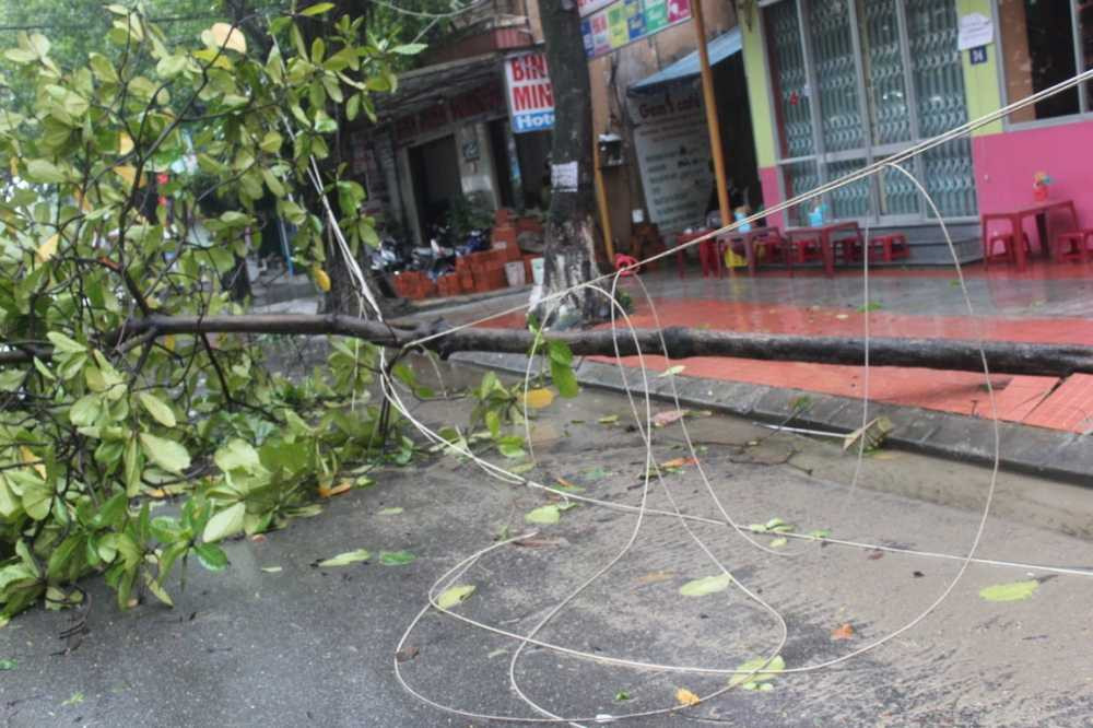 IMG_8747 (FILEminimizer) - Copy