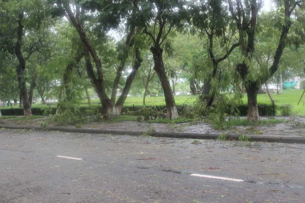 IMG_8761 (FILEminimizer) - Copy